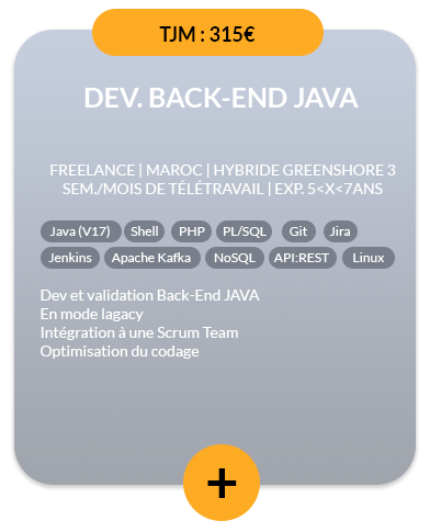 Fiche-Mission-20240301-Dev-Back-End-JAVA-1