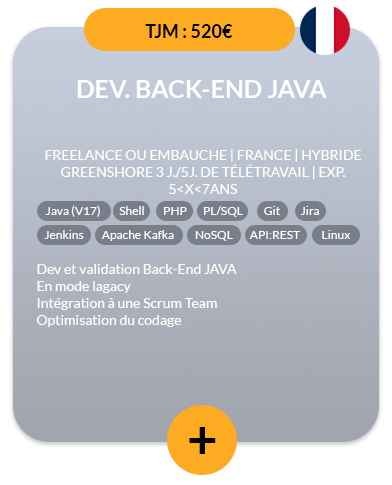 Fiche-Mission-20240301-Dev-Back-End-JAVA-2