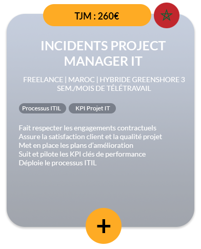 Fiche-Mission-20240301-Incidents-Project-Manager-IT