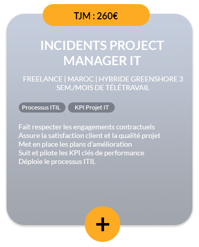 Fiche-Mission-20240301-Incidents-Project-Manager-IT