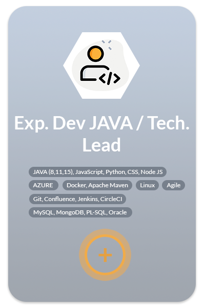 Exp-Dev-JAVA-Tech-Lead